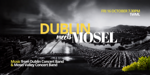 Dublin Mosel 16 Oct landscape